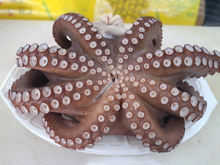 문어 1kg 