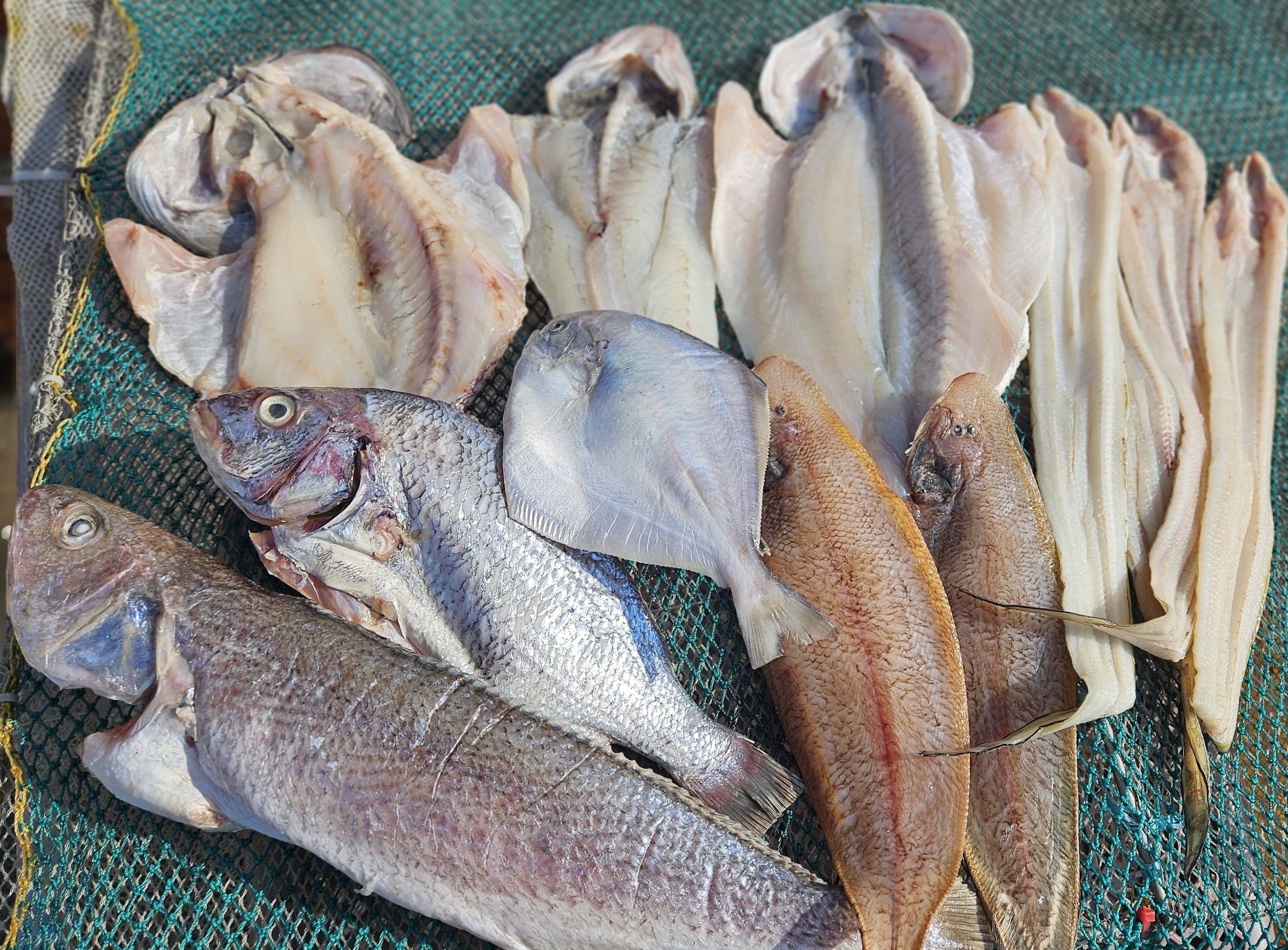 🎁생선 선물세트 15만