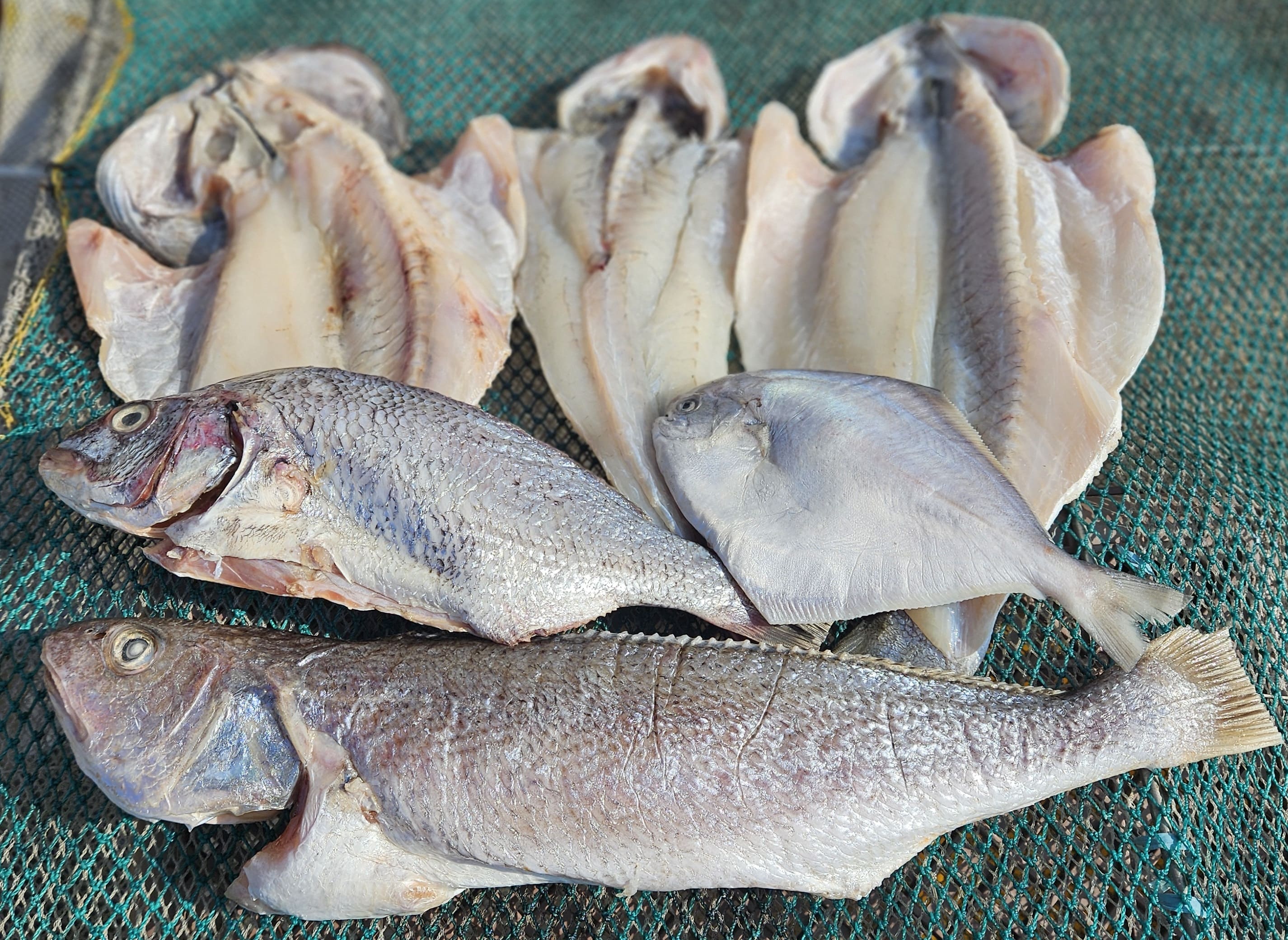 🎁생선 선물세트 10만