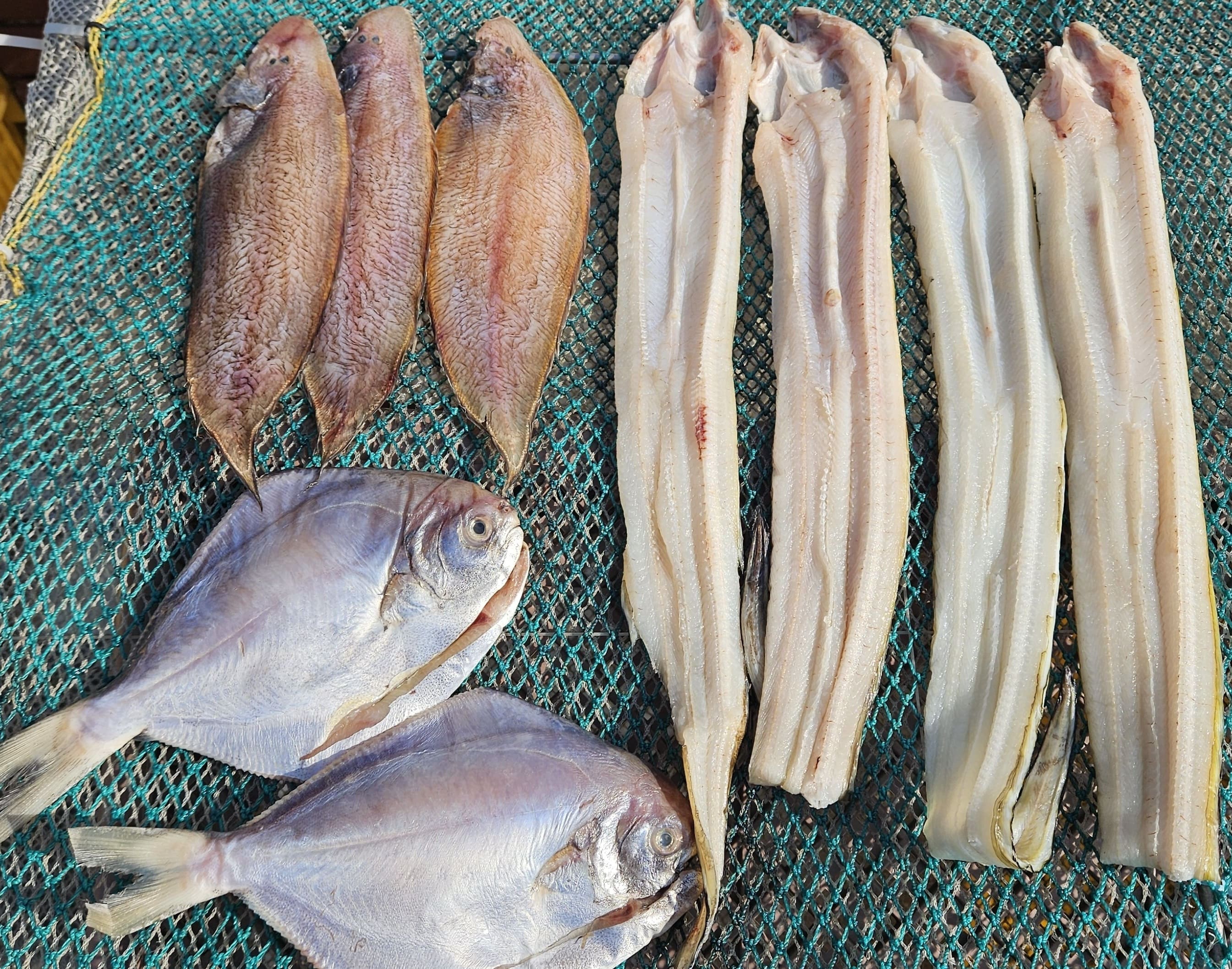 🎁생선 선물세트 5만	